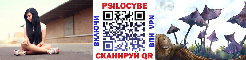 Галлюциногенные грибы Psilocybe  мега маркетплейс  Нелидово 